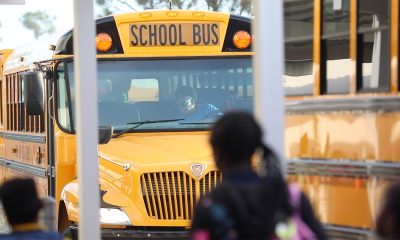 49694239253_b079447486_o 49694239253_b079447486_o